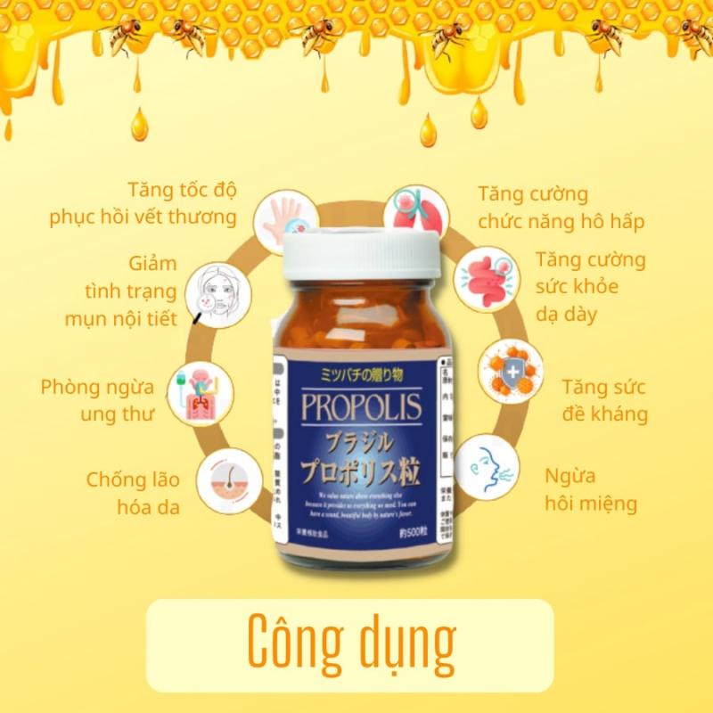 Viên uống keo ong Brazil Wellness 500 viên