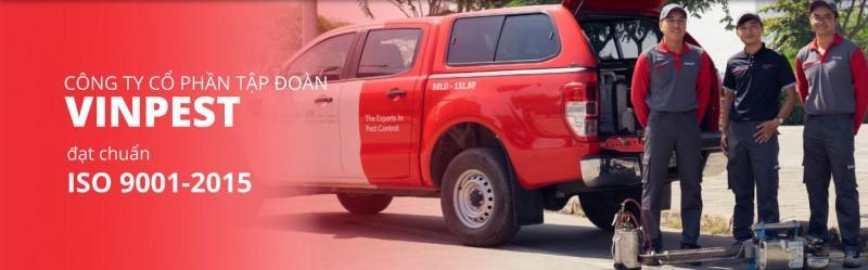 VinPest Pest Control - công ty diệt côn trùng số 1 Việt Nam