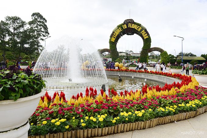 Vườn hoa Đà Lạt