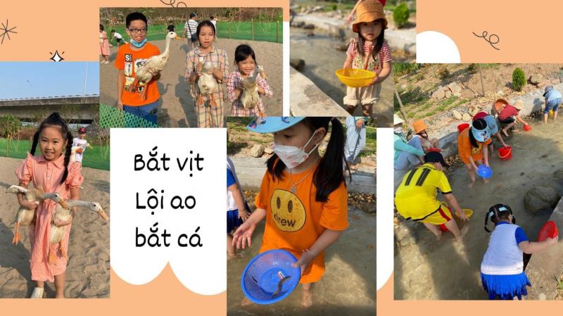 Vườn trải nghiệm Komifarm Cafe & Camping