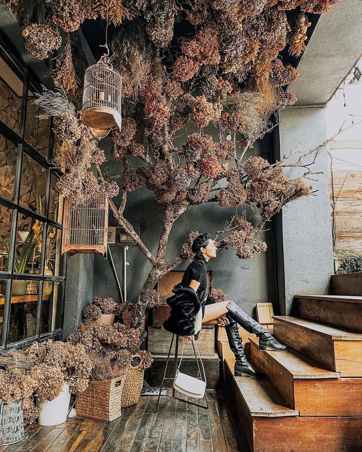 Woodstock Đà Lạt