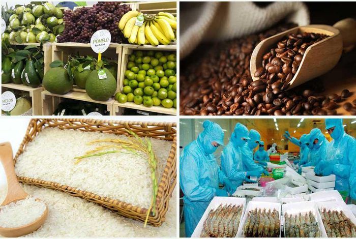 Xuất nhập khẩu lập kỷ lục