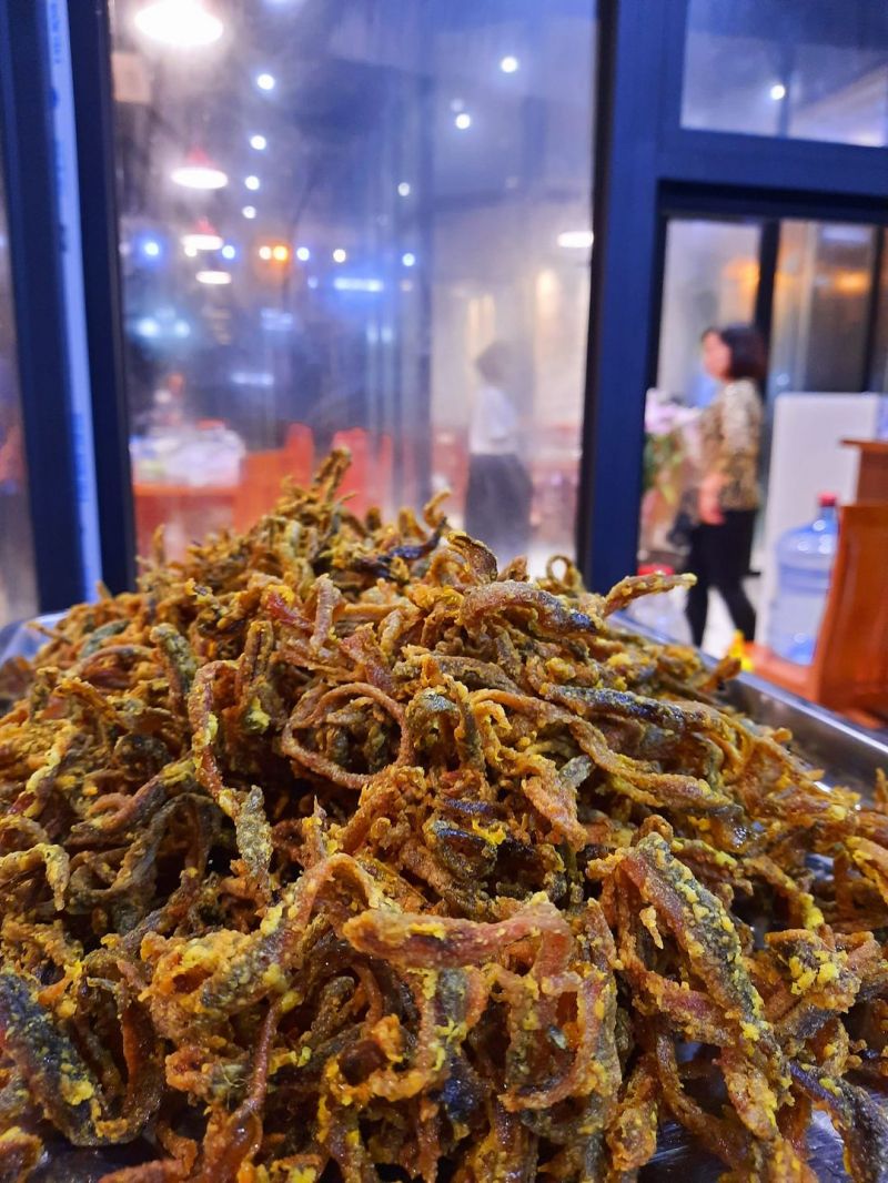Zuyên Lươn Xứ Nghệ
