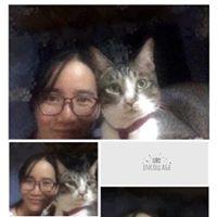 Vũ Phương Linh