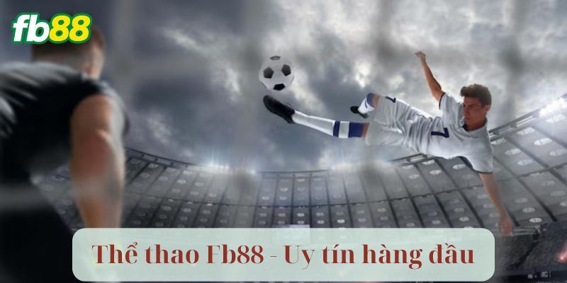 Thể Thao Fb88: Sự Lựa Chọn Hàng Đầu Của Pro 1 Đa Dạng Môn Chơi cùng Thể Thao Fb88