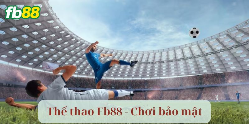 Thể Thao Fb88: Sự Lựa Chọn Hàng Đầu Của Pro 2 Chính sách ổn định, lâu dài, có lợi cho người chơi