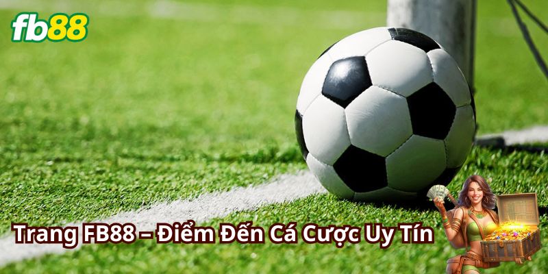 Trang FB88 – Nơi Hội Tụ Tất Cả Dịch Vụ Cá Cược Hàng Đầu 3 Câu Hỏi Thường Gặp Về Trang Cá Cược FB88