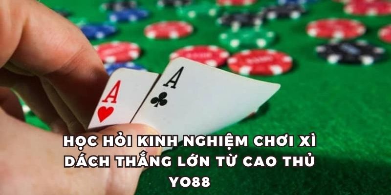 Học hỏi những kinh nghiệm đắt giá từ cao thủ để cá cược thắng lớn